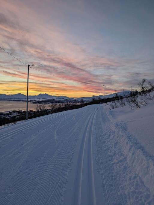 Koselig Leilighet Naer Bussholdeplass Og Natur. Tromsø Extérieur photo