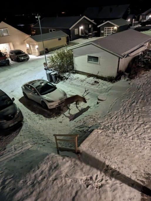 Koselig Leilighet Naer Bussholdeplass Og Natur. Tromsø Extérieur photo